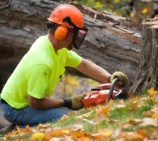 tree services East Newark